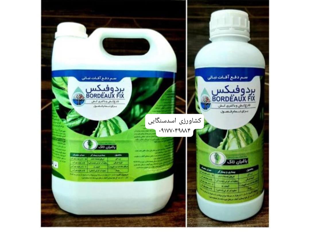 زیباسازی خانه با جذاب ترین تراریوم ها