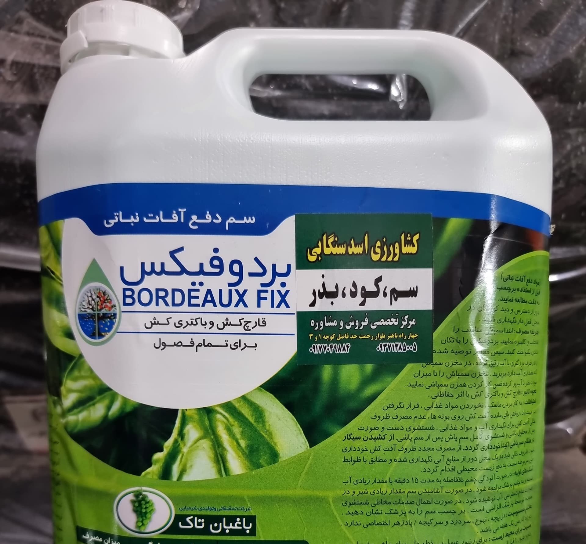 زیباسازی خانه با جذاب ترین تراریوم ها