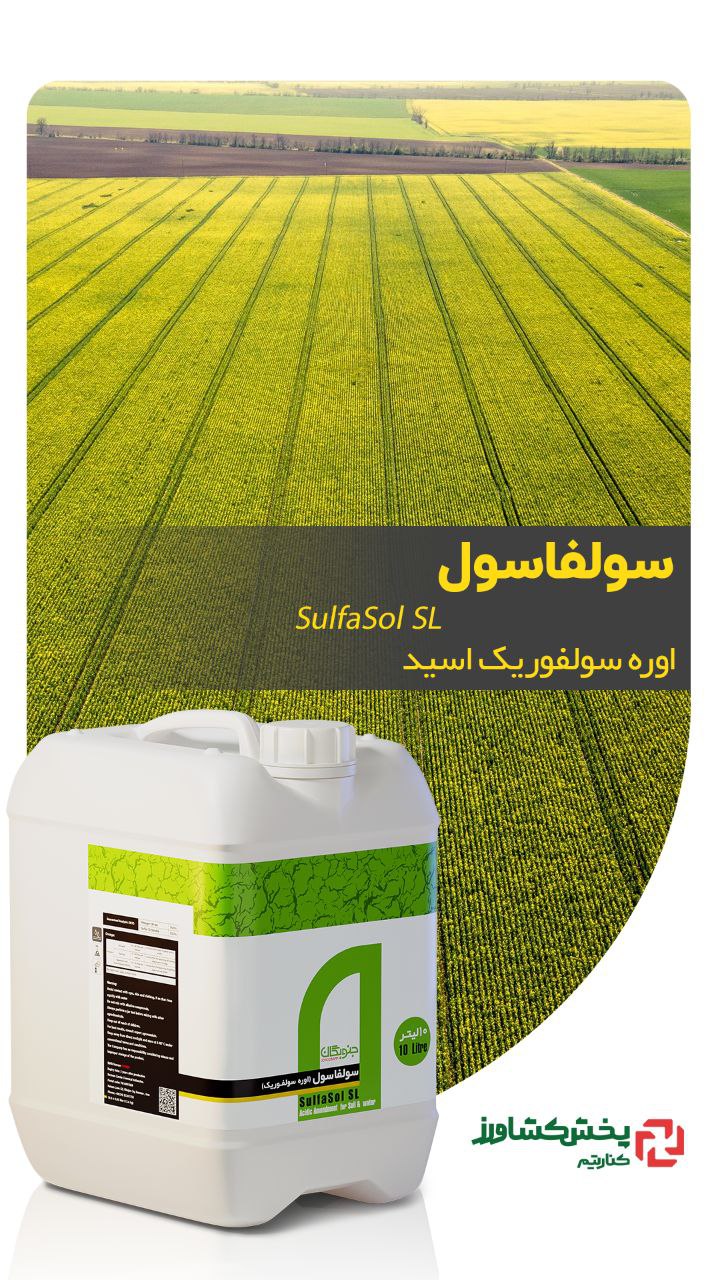 تنوعی در فضای گلخانه با بونسای
