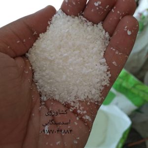 کود نیترات کلسیم کریستال و گرانول