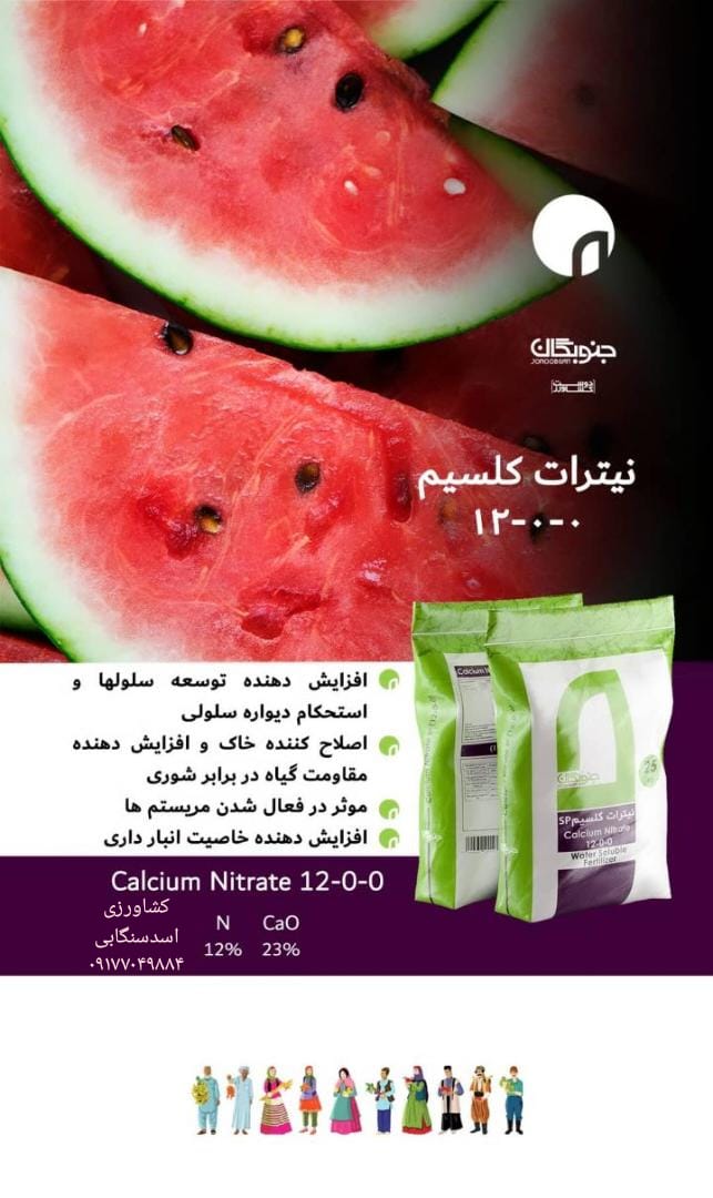 انواع گلدان برای تمامی سلیقه ها